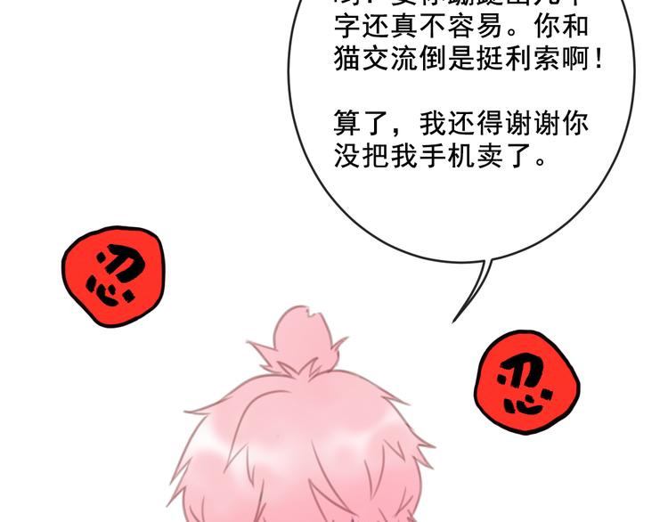 社会喵韩漫全集-第7话 没看过猫变人呐！无删减无遮挡章节图片 