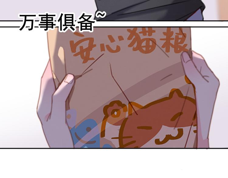 社会喵韩漫全集-第7话 没看过猫变人呐！无删减无遮挡章节图片 