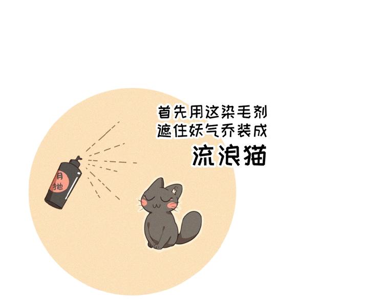 社会喵韩漫全集-第34话 死缠烂打的小猫咪无删减无遮挡章节图片 