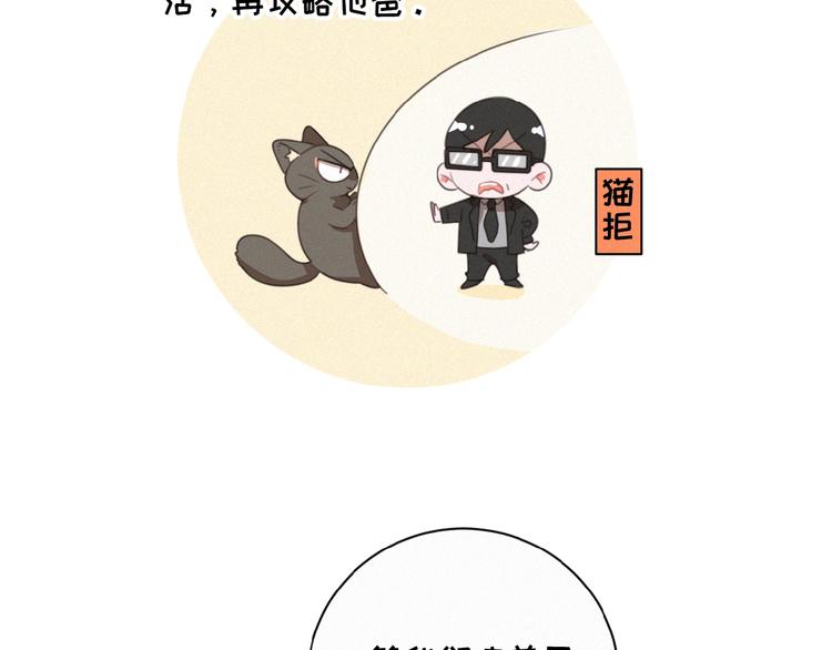社会喵韩漫全集-第34话 死缠烂打的小猫咪无删减无遮挡章节图片 