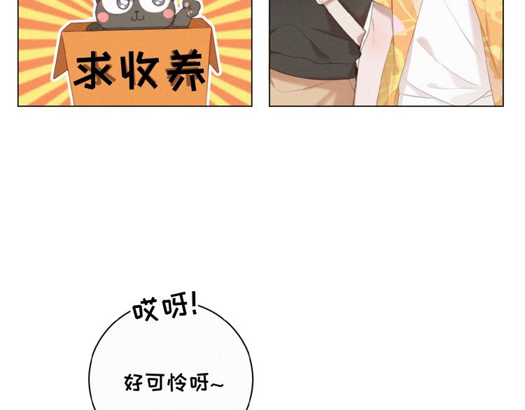 社会喵韩漫全集-第34话 死缠烂打的小猫咪无删减无遮挡章节图片 
