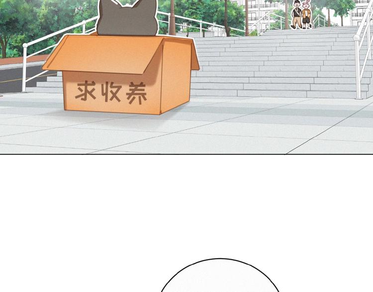 社会喵韩漫全集-第34话 死缠烂打的小猫咪无删减无遮挡章节图片 