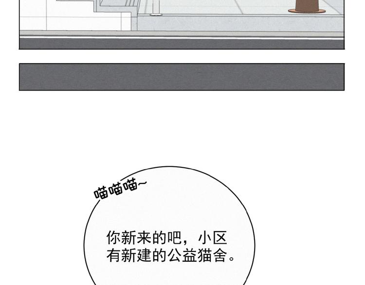 社会喵韩漫全集-第34话 死缠烂打的小猫咪无删减无遮挡章节图片 