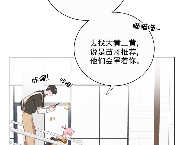 社会喵韩漫全集-第34话 死缠烂打的小猫咪无删减无遮挡章节图片 
