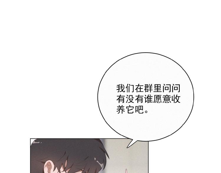社会喵韩漫全集-第34话 死缠烂打的小猫咪无删减无遮挡章节图片 