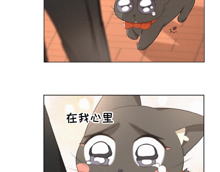 社会喵韩漫全集-第35话 破绽无删减无遮挡章节图片 
