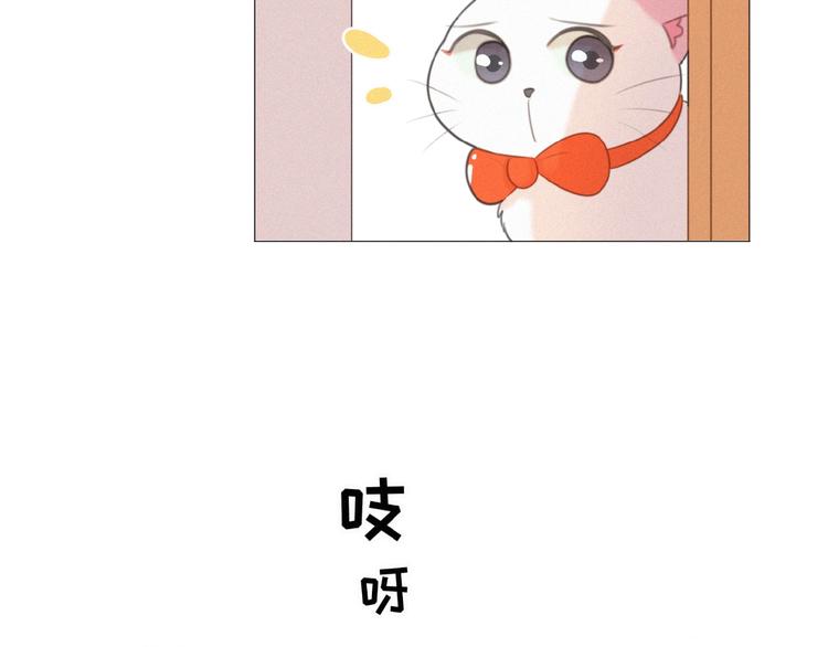 社会喵韩漫全集-第37话 原谅无删减无遮挡章节图片 
