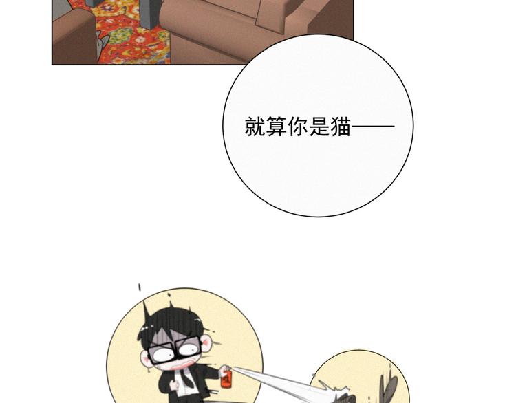 社会喵韩漫全集-第38话 想跟你一起过生日无删减无遮挡章节图片 