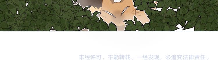 社会喵韩漫全集-第38话 想跟你一起过生日无删减无遮挡章节图片 