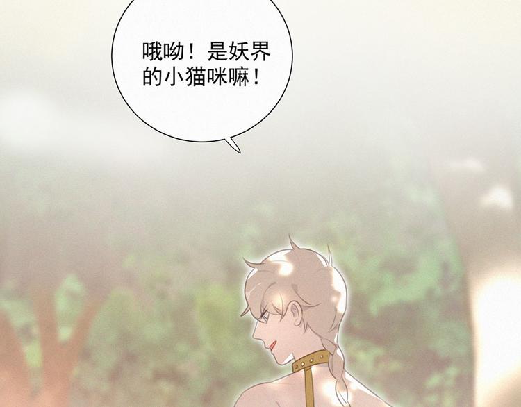 社会喵韩漫全集-第39话 凄美爱情无删减无遮挡章节图片 