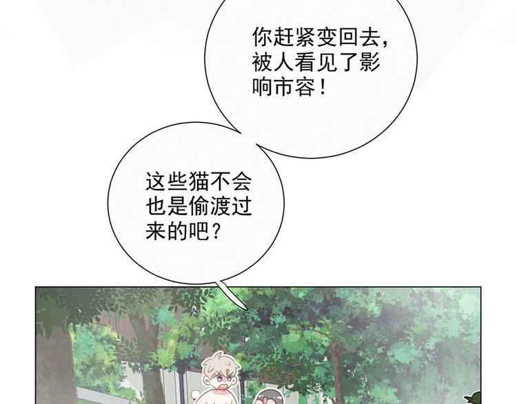 社会喵韩漫全集-第39话 凄美爱情无删减无遮挡章节图片 