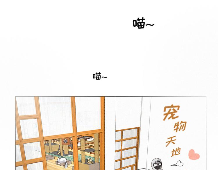 社会喵韩漫全集-第39话 凄美爱情无删减无遮挡章节图片 