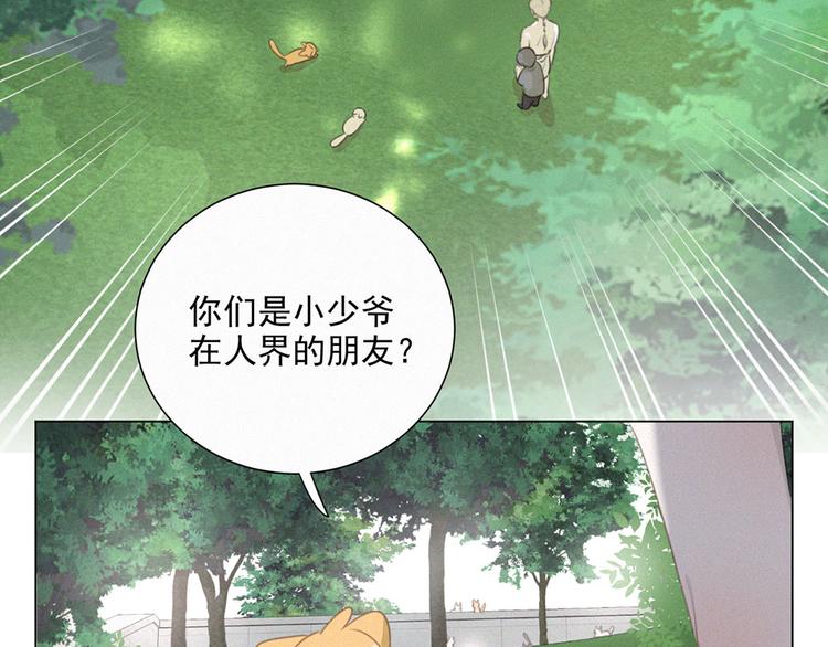 社会喵韩漫全集-第39话 凄美爱情无删减无遮挡章节图片 