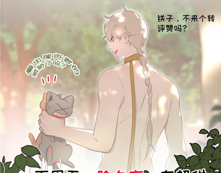 社会喵韩漫全集-第39话 凄美爱情无删减无遮挡章节图片 