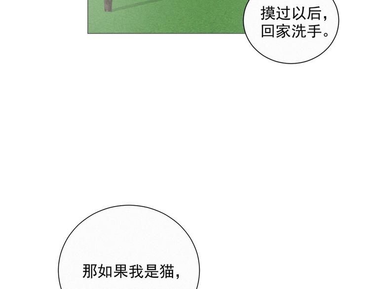 社会喵韩漫全集-第39话 凄美爱情无删减无遮挡章节图片 