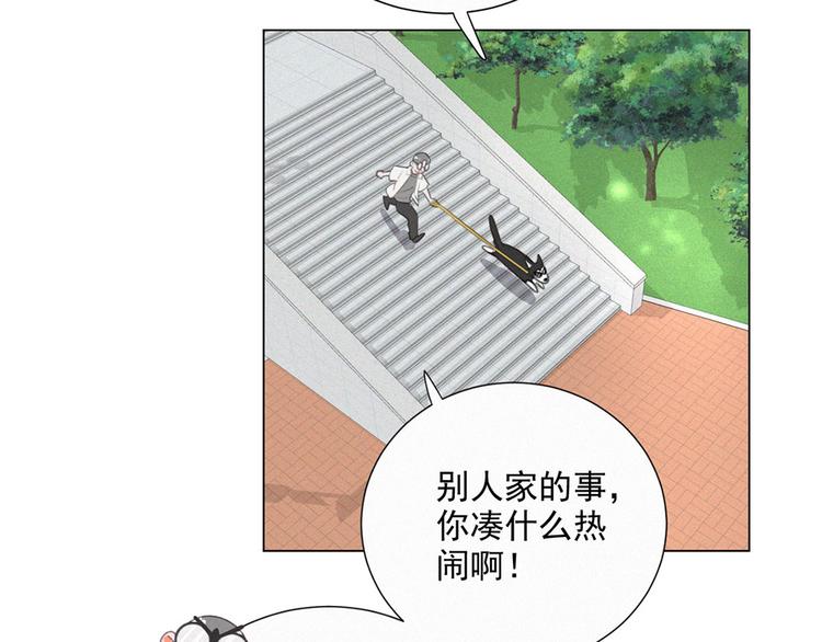 社会喵韩漫全集-第39话 凄美爱情无删减无遮挡章节图片 