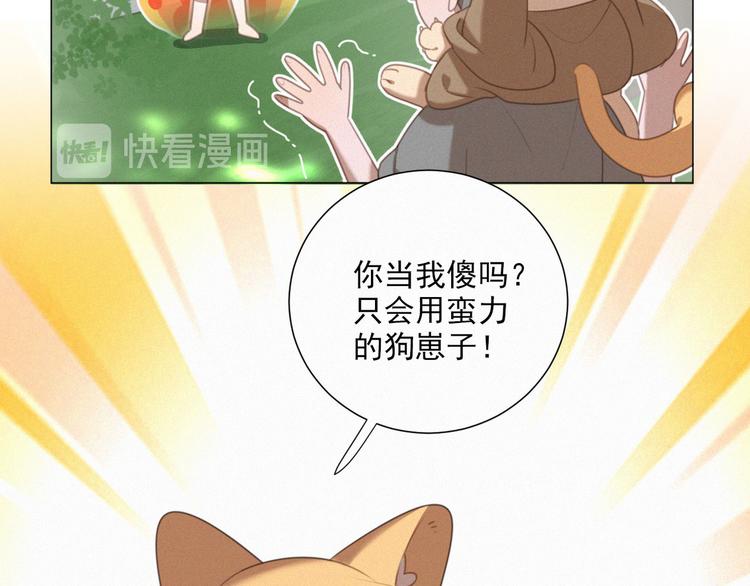社会喵韩漫全集-第40话 绝不原谅无删减无遮挡章节图片 