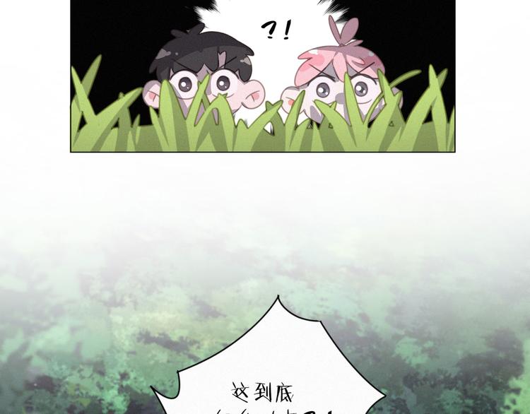 社会喵韩漫全集-第40话 绝不原谅无删减无遮挡章节图片 
