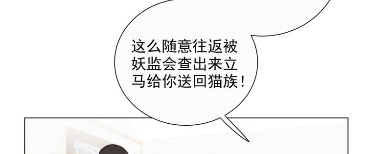 社会喵韩漫全集-第41话 受伤了无删减无遮挡章节图片 
