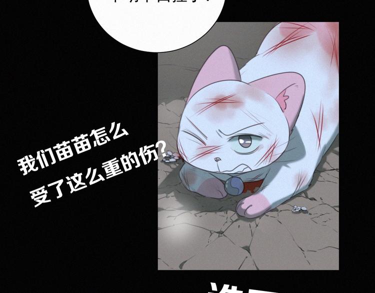 社会喵韩漫全集-第41话 受伤了无删减无遮挡章节图片 