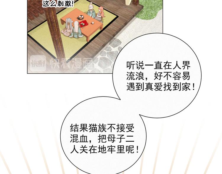 社会喵韩漫全集-第43话 不要哭了无删减无遮挡章节图片 