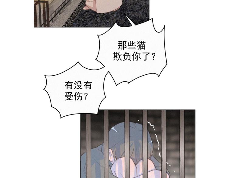 社会喵韩漫全集-第43话 不要哭了无删减无遮挡章节图片 