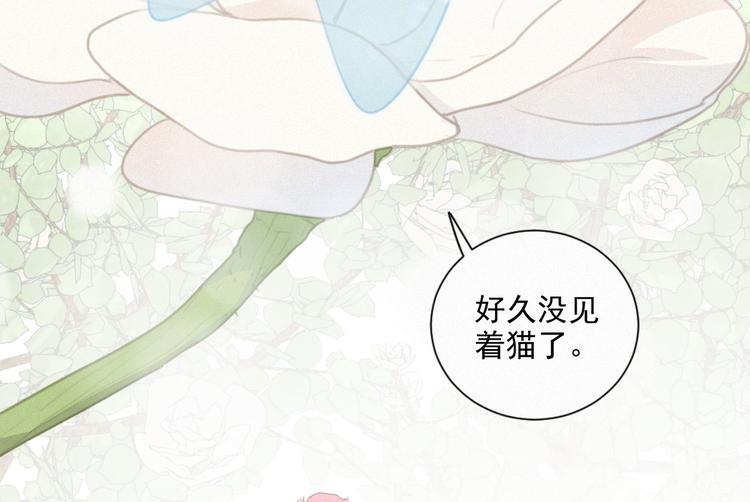 社会喵韩漫全集-第44话 等我！⚡️⚡️⚡️无删减无遮挡章节图片 