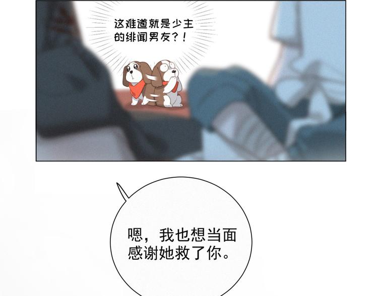 社会喵韩漫全集-第46话 再也不要为我受伤无删减无遮挡章节图片 