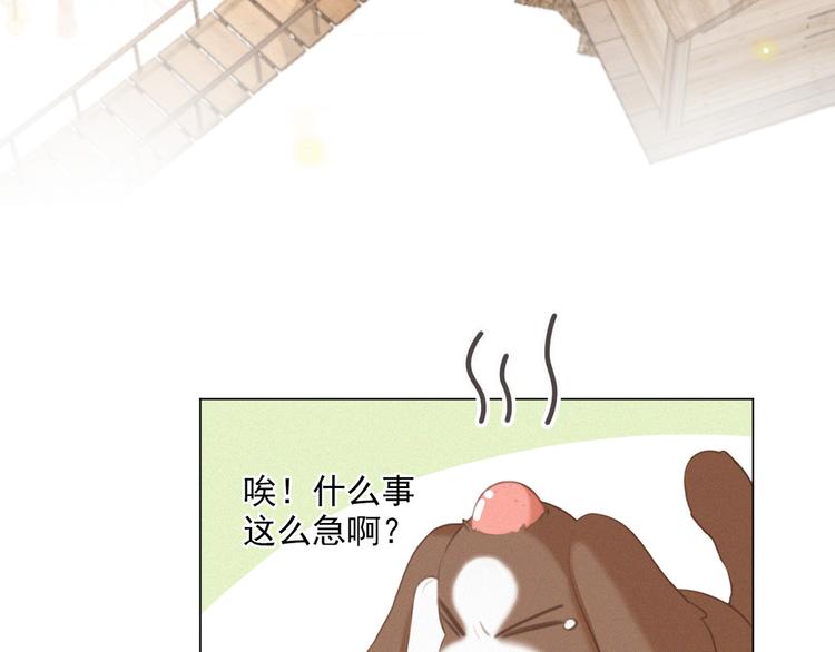 社会喵韩漫全集-第49话 靠近你无删减无遮挡章节图片 
