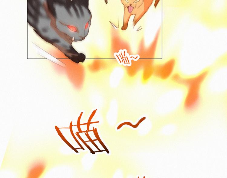 社会喵韩漫全集-第56话 请放我自由无删减无遮挡章节图片 