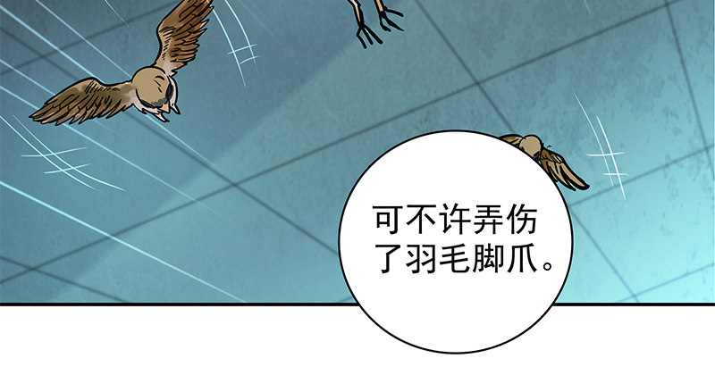 神雕侠侣韩漫全集-第三十七话 习武无删减无遮挡章节图片 