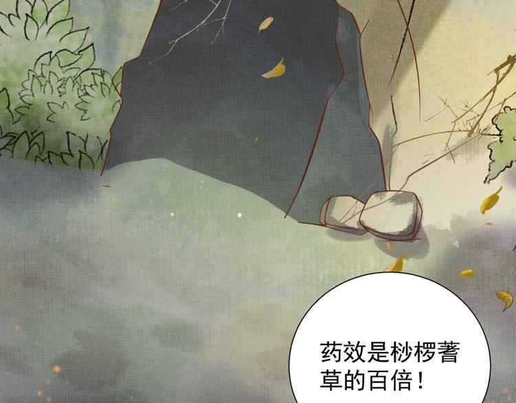 盛宠医妃之摇光传韩漫全集-第35话 不要离开我无删减无遮挡章节图片 