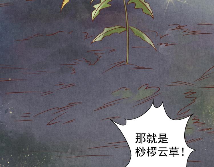 盛宠医妃之摇光传韩漫全集-第36话 休想甩开我无删减无遮挡章节图片 