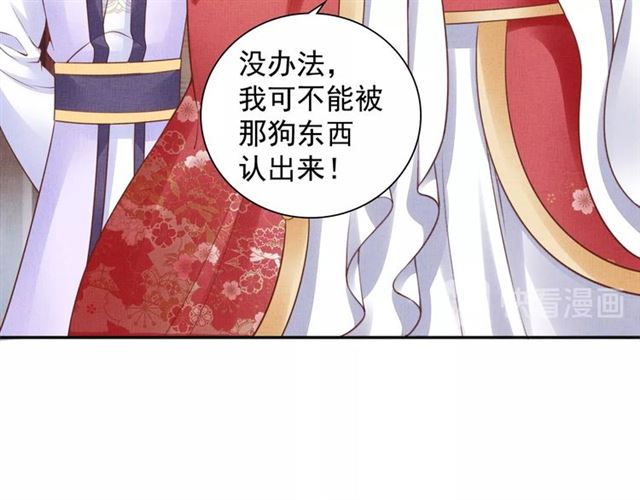 盛宠医妃之摇光传韩漫全集-第78话 乔装探访无删减无遮挡章节图片 