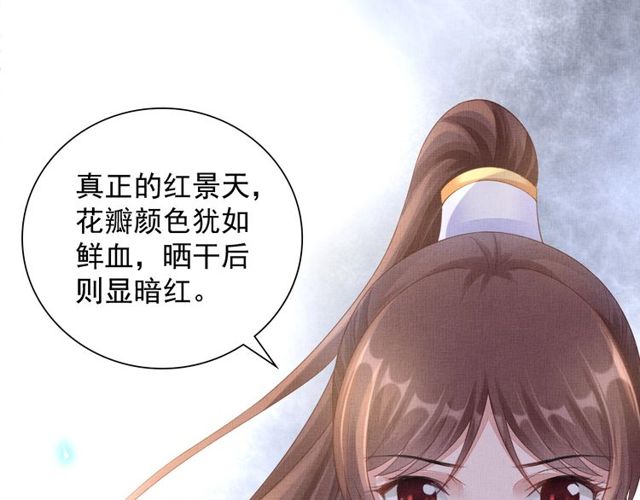 盛宠医妃之摇光传韩漫全集-第94话 我会心疼啊无删减无遮挡章节图片 