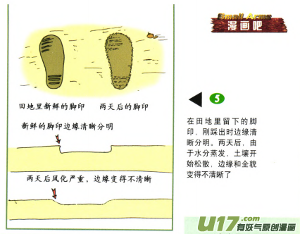 生存日韩漫全集-（第六季）13搜索前进无删减无遮挡章节图片 