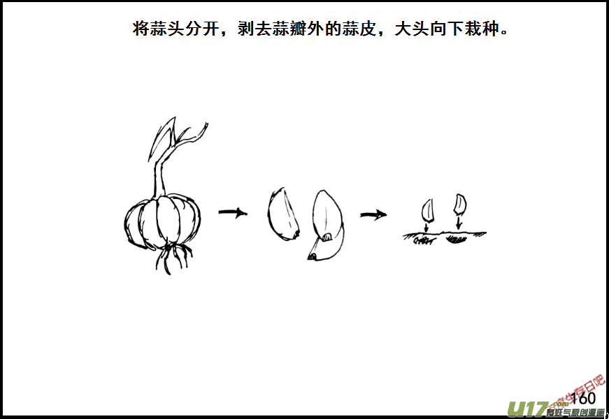生存日韩漫全集-（第七季）9金坷垃与农药（1）无删减无遮挡章节图片 