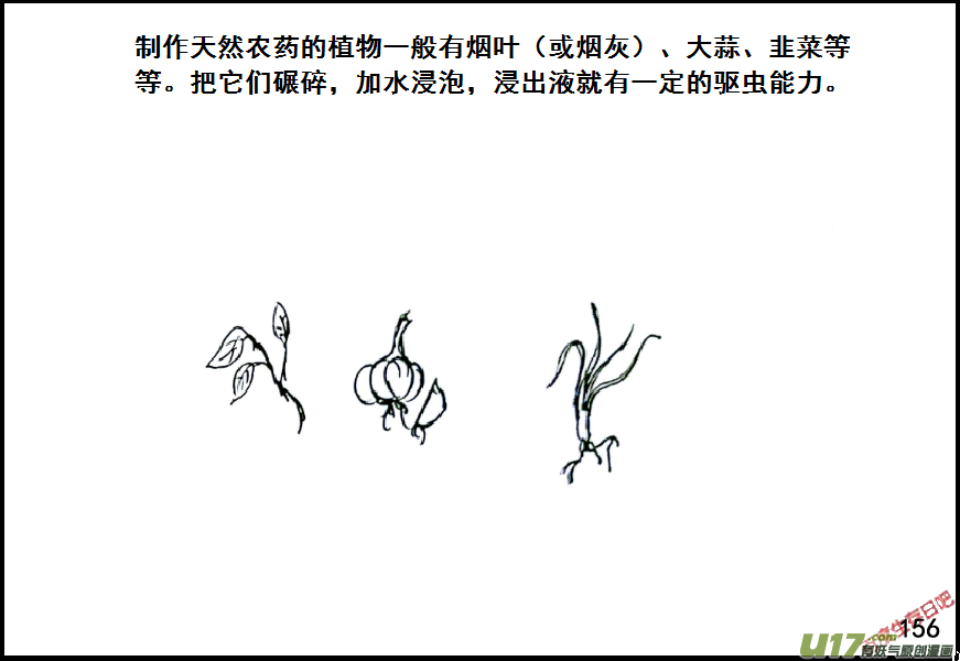 生存日韩漫全集-（第七季）9金坷垃与农药（1）无删减无遮挡章节图片 