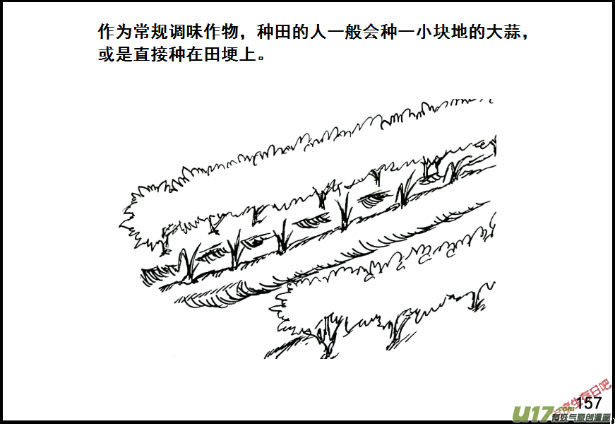 生存日韩漫全集-（第七季）9金坷垃与农药（1）无删减无遮挡章节图片 