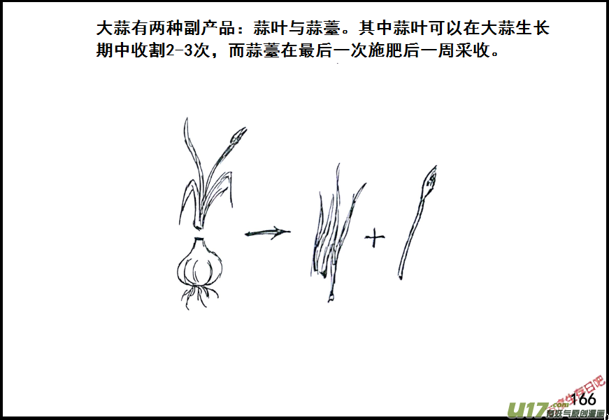 生存日韩漫全集-（第七季）10金坷垃与农药（2）无删减无遮挡章节图片 