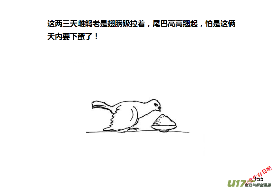 生存日韩漫全集-第九季—6【鸽子蛋】无删减无遮挡章节图片 