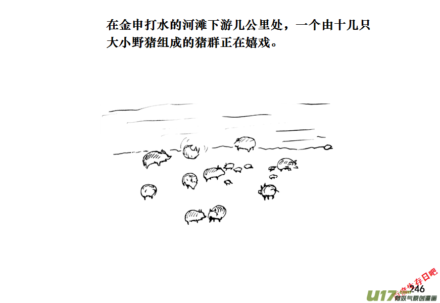 生存日韩漫全集-（第十一季）14 打野猪（下）无删减无遮挡章节图片 