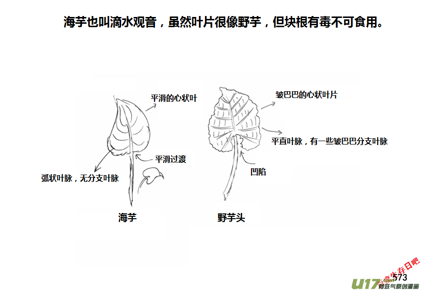生存日韩漫全集-（第十一季）32 挖野芋（下）无删减无遮挡章节图片 