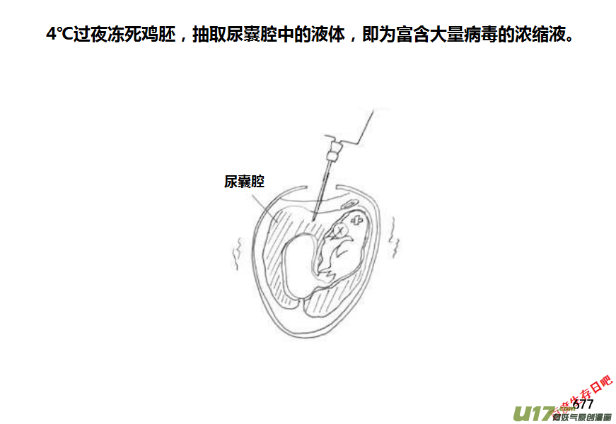 生存日韩漫全集-（第十一季）38 老鬼的故事（6）无删减无遮挡章节图片 