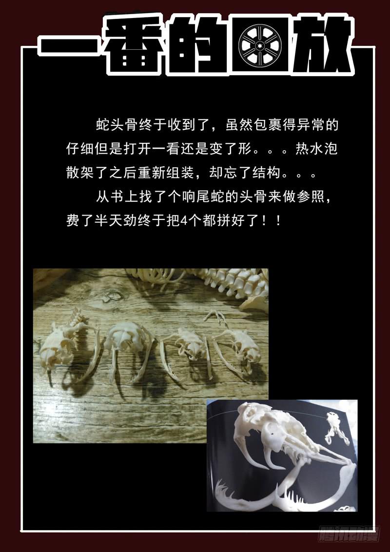 生死回放第一季（死亡回放）韩漫全集-第13死 尸迷离无删减无遮挡章节图片 