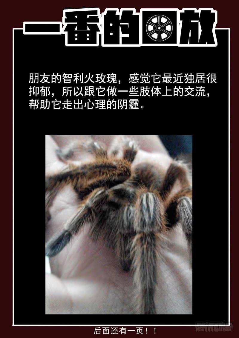 生死回放第一季（死亡回放）韩漫全集-50死，受害者的报恩无删减无遮挡章节图片 