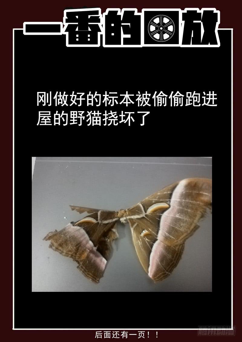 生死回放第一季（死亡回放）韩漫全集-60死 陡然生变！无删减无遮挡章节图片 