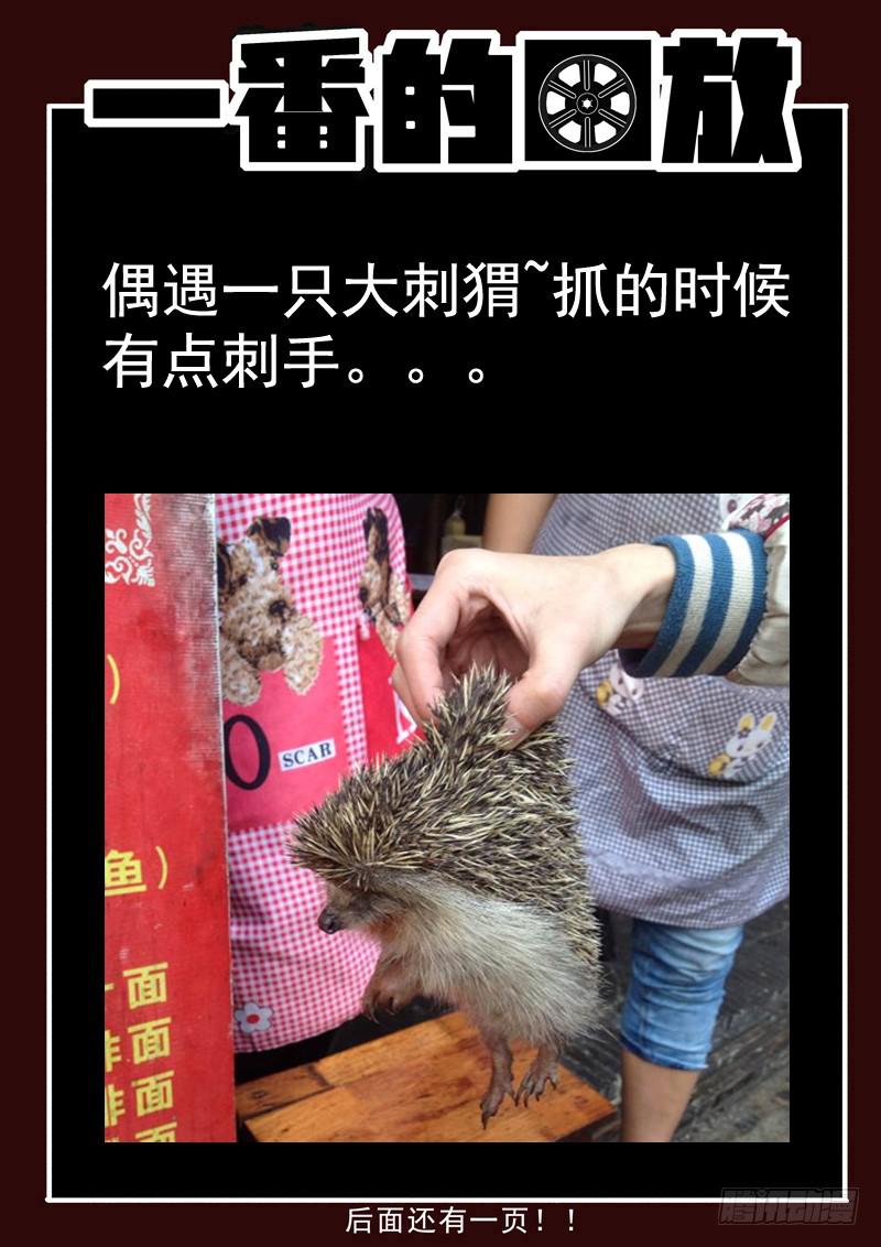 生死回放第一季（死亡回放）韩漫全集-63死 魏死死出动无删减无遮挡章节图片 