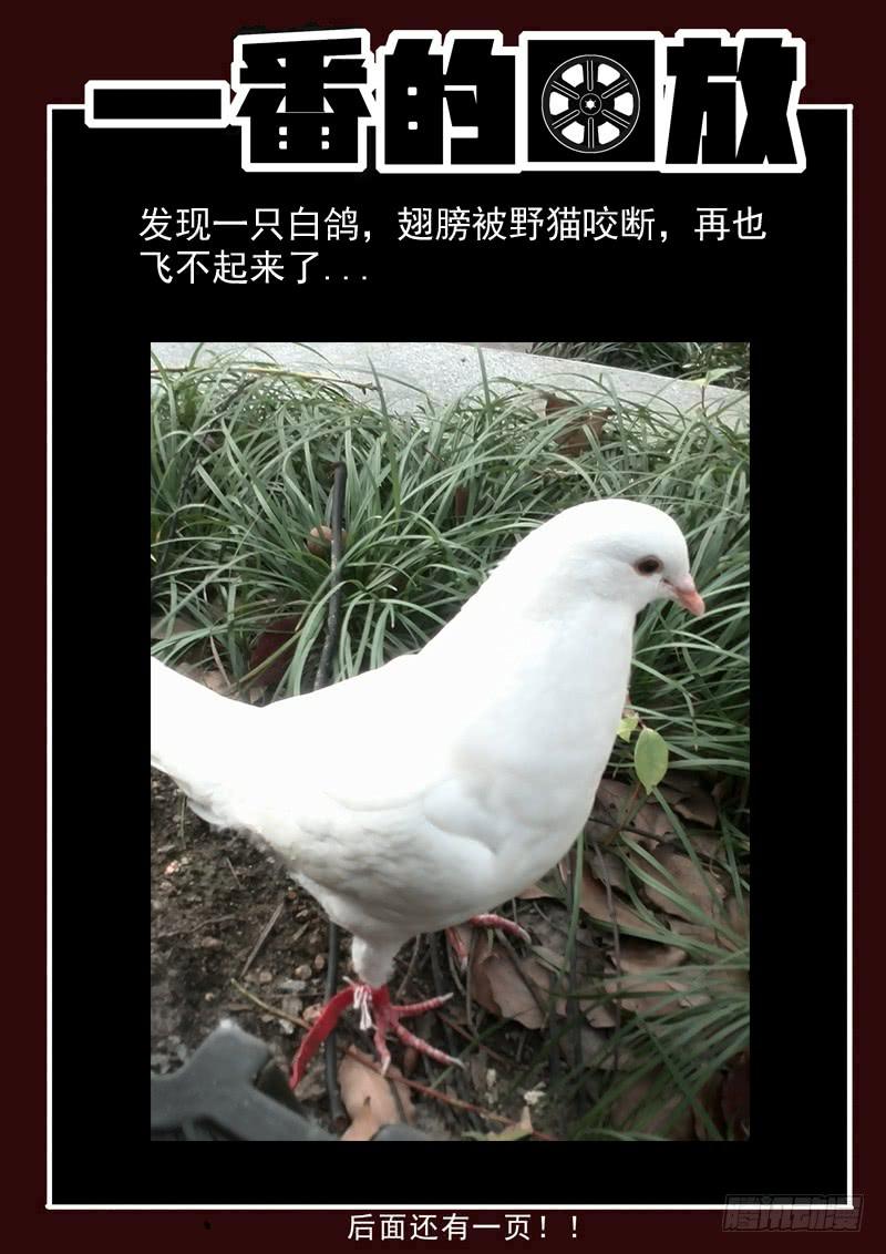 生死回放第一季（死亡回放）韩漫全集-71死 能力恢复无删减无遮挡章节图片 
