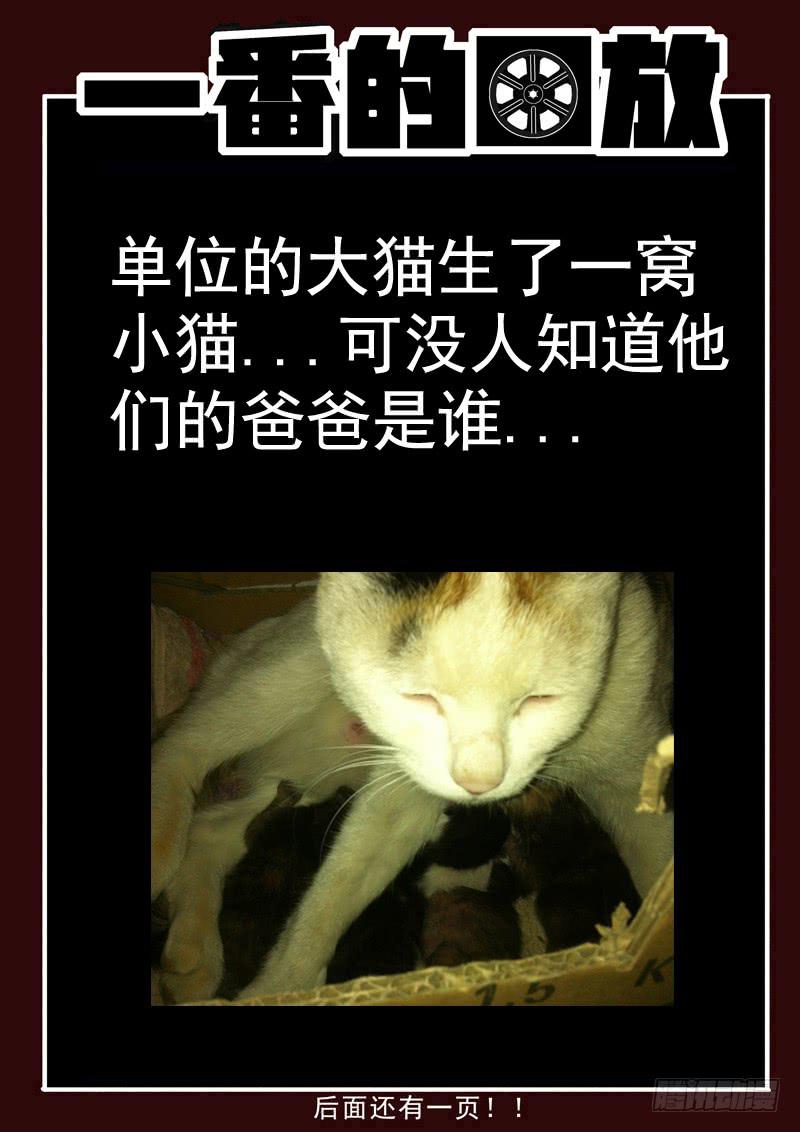 生死回放第一季（死亡回放）韩漫全集-82死 重逢无删减无遮挡章节图片 